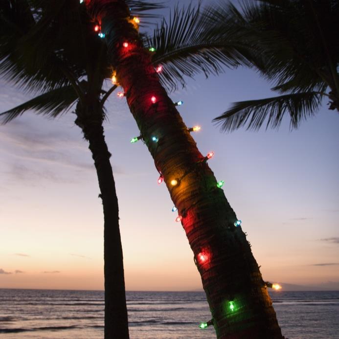 White Sand Christmas, A Merry Maui Christmas A Maui Blog