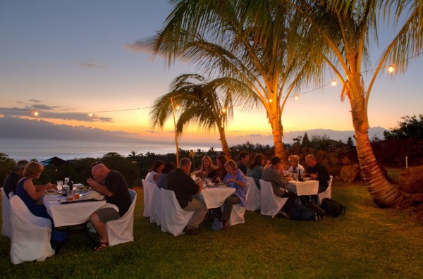 Kope Farm Kupu Maui