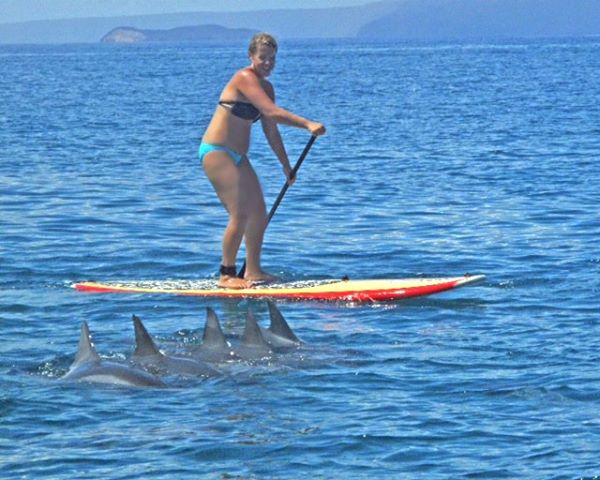 Paddle of a Lifetime