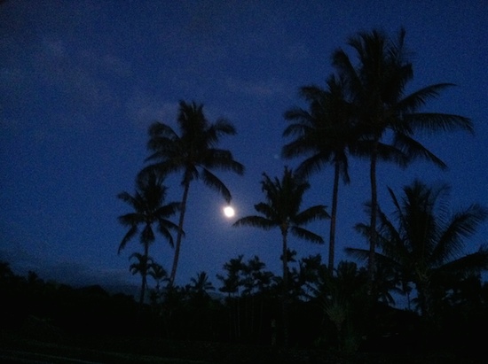 Full Moon on Maui 6