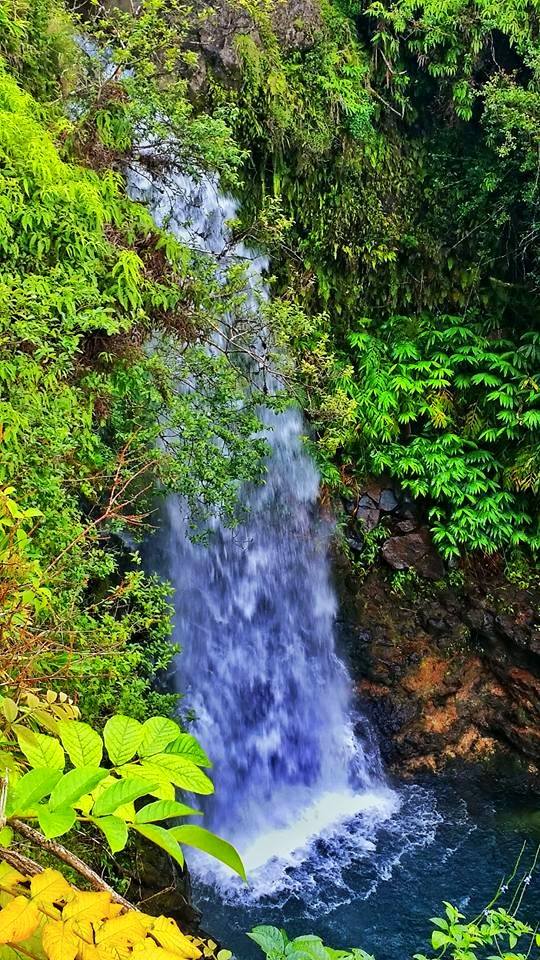waterfall hana maui 2