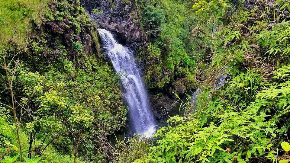 waterfalls hana maui 4
