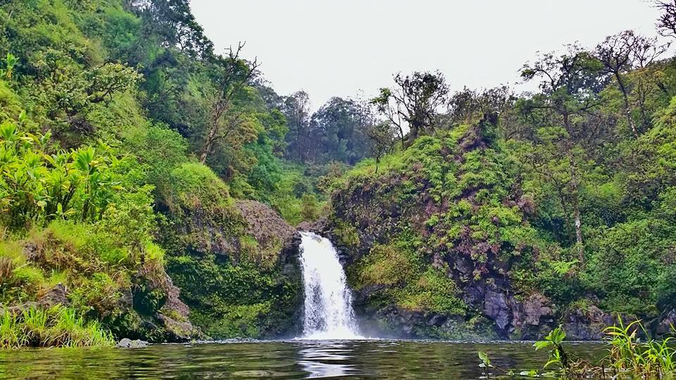 Adventure With Waterfalls – Hana, Maui