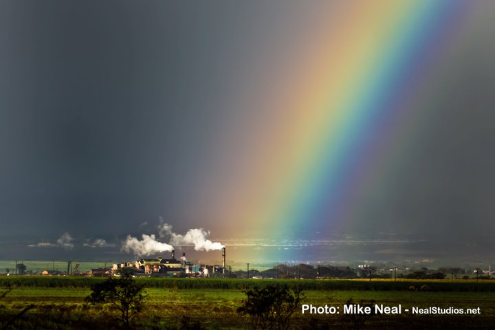 Puunene Sugar Mill Mike Neal