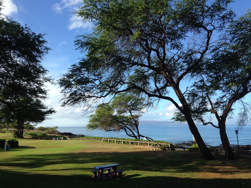 Kamaole Beach III (1)