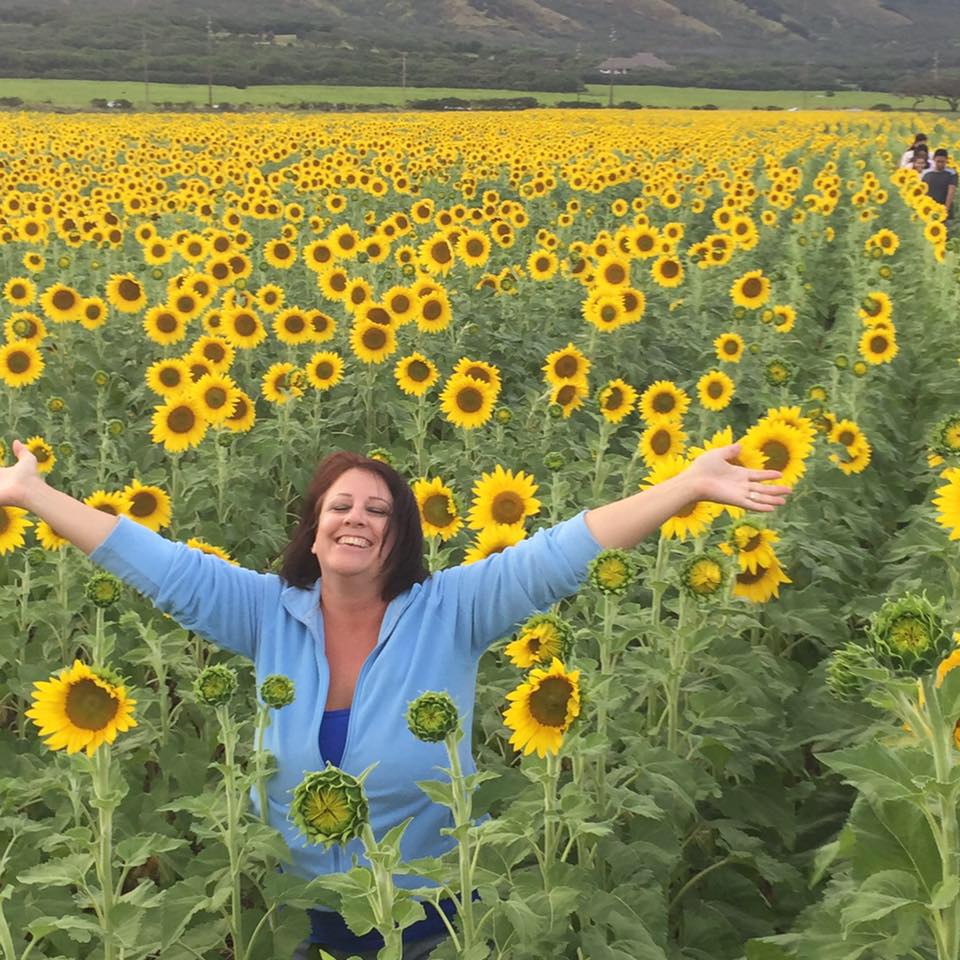 sunflowers-on-maui