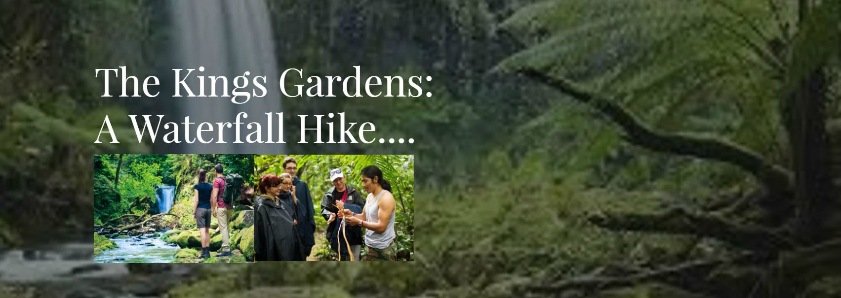 Invitation to Visit The Kings Gardens on Maui