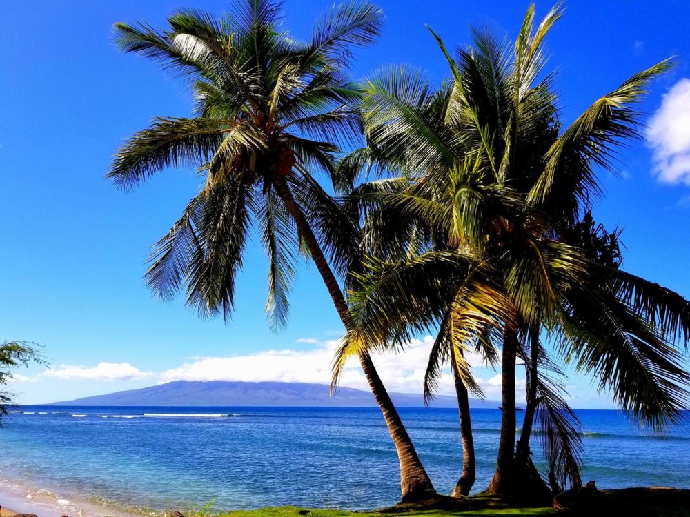 Stress in Paradise?  Living on Maui Has Its Price