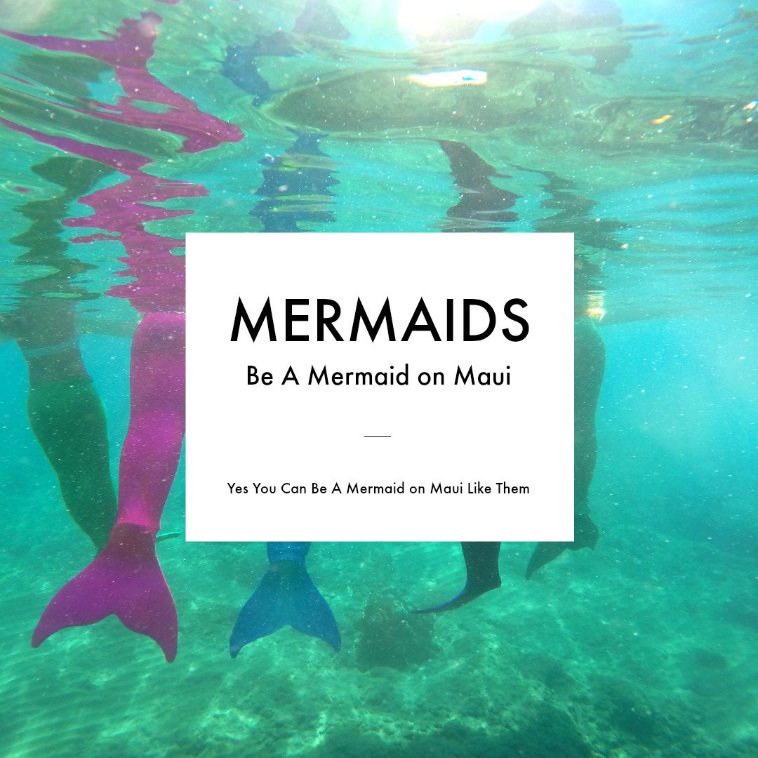 A Day In The Life of Maui Mermaids