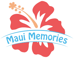 best maui travel guide book