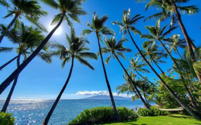 A Brief Guide for Young People Moving to Hawaii