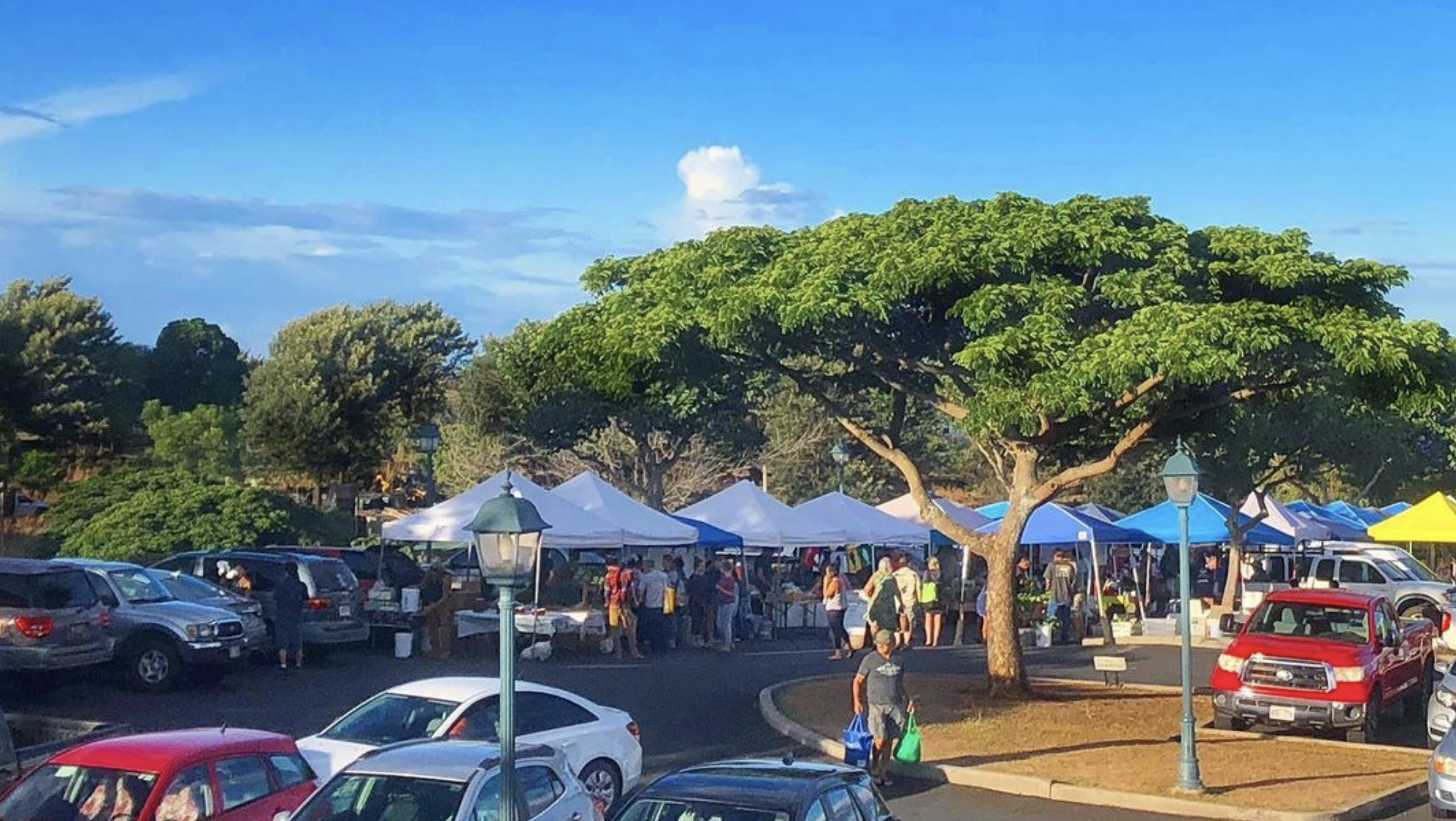 Upcountry Farmers Market - All You Need to Know BEFORE You Go (with Photos)